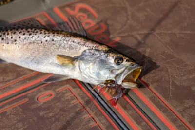 Custom-Alweld-Skiff-001