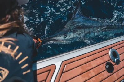 Custom-Surtees-750-002